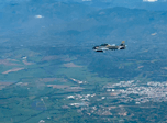 Radio Viva Fenix