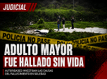 Radio Viva Fenix