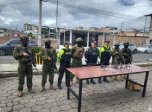 Radio Viva Fenix