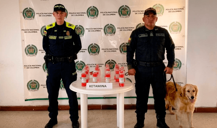 Radio Viva Fenix
