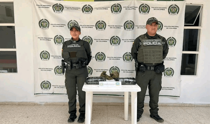 Radio Viva Fenix