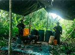 Radio Viva Fenix