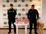 Radio Viva Fenix