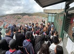 Radio Viva Fenix