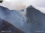 Radio Viva Fenix