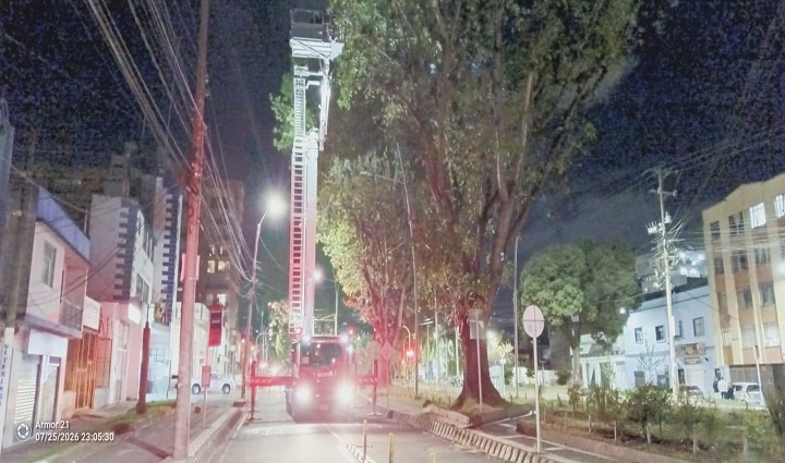 Radio Viva Fenix