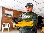 Radio Viva Fenix