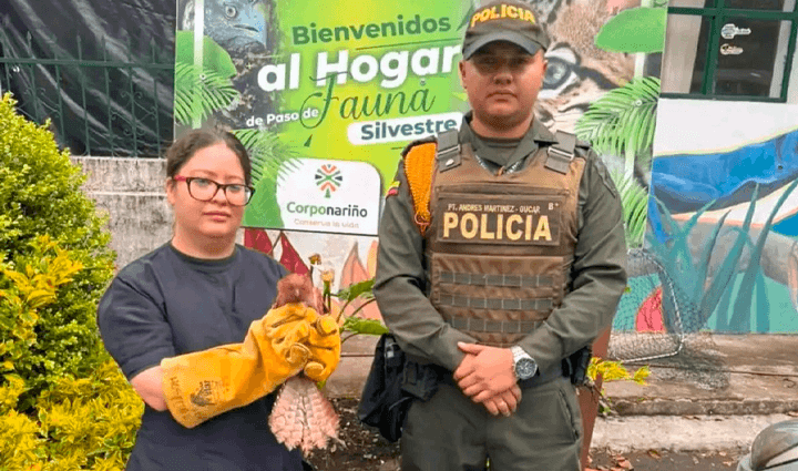Radio Viva Fenix