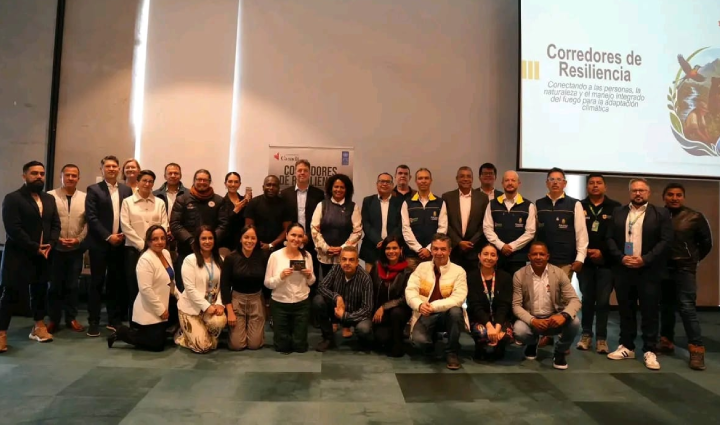 Radio Viva Fenix