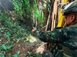 Radio Viva Fenix