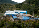 Radio Viva Fenix