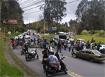 Radio Viva Fenix