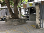 Radio Viva Fenix
