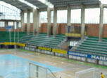 Radio Viva Fenix