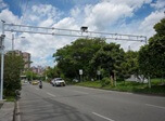 Radio Viva Fenix