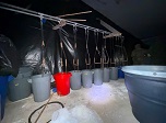 Radio Viva Fenix