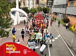 Radio Viva Fenix