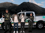 Radio Viva Fenix