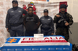 Radio Viva Fenix