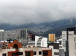 Radio Viva Fenix
