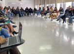 Radio Viva Fenix