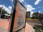 Radio Viva Fenix