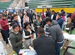 Radio Viva Fenix
