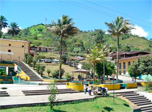 Radio Viva Fenix