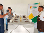 Radio Viva Fenix