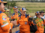 Radio Viva Fenix