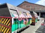 Radio Viva Fenix