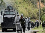 Radio Viva Fenix